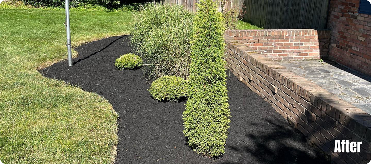 Group 1171277075 (1)