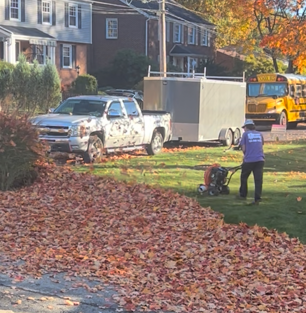 Leaf Removal Services