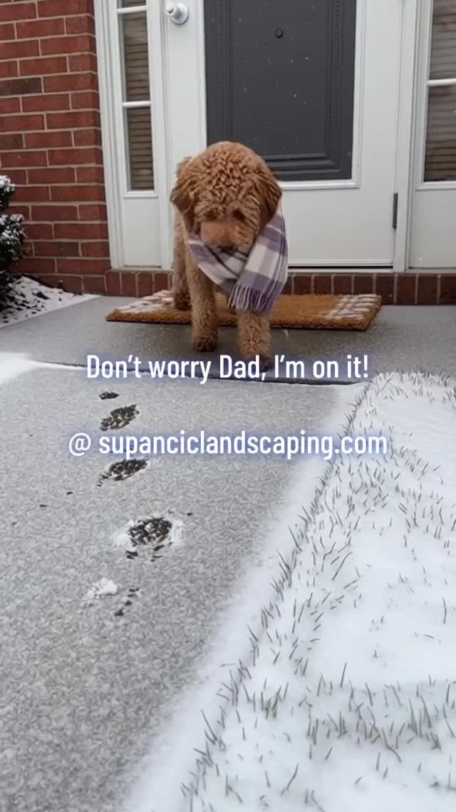 Instagram post from supancic_landscaping. This post is in position 2.